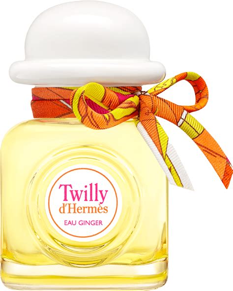 hermes twilly band|twilly d Hermes eau ginger.